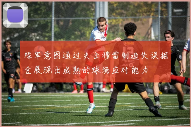 绿军意图通过夹击穆雷制造失误掘金展现出成熟的球场应对能力